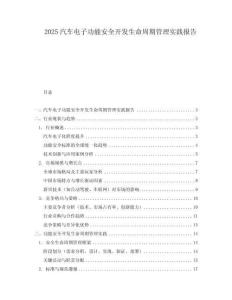 2025汽車(chē)電子功能安全開(kāi)發(fā)生命周期管理實(shí)踐報(bào)告