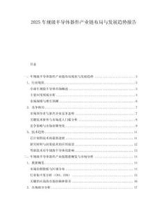 2025車規級半導體器件產業鏈布局與發展趨勢報告