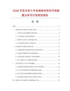 2026年及未來5年發燒線材項目市場數據分析可行性研究報告