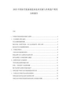 2025中國冰雪裝備制造業(yè)技術突破與冬奧遺產(chǎn)利用分析報告