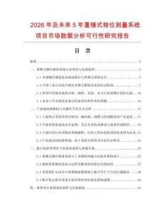 2026年及未來5年重錘式物位測量系統項目市場數據分析可行性研究報告