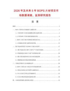 2026年及未來5年BOPS片材項目市場數據調查、監測研究報告