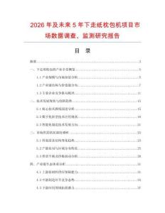 2026年及未來5年下走紙枕包機項目市場數據調查、監測研究報告