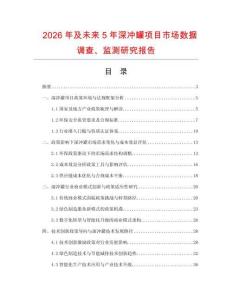 2026年及未來5年深沖罐項目市場數據調查、監測研究報告