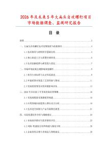 2026年及未来5年大扁头自攻螺钉项目市场数据调查、监测研究报告