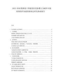2025-2030鐵路道口智能監(jiān)控設備遭人為破壞可能原因防護加強預案制定研究指南報告