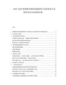 2025-2030智慧城市基础设施建设产品供需亮点及投资评估布局规划分析