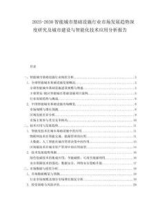 2025-2030智能城市基礎(chǔ)設(shè)施行業(yè)市場發(fā)展趨勢深度研究及城市建設(shè)與智能化技術(shù)應(yīng)用分析報(bào)告