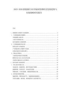 2025-2030新能源行業(yè)市場深度調(diào)研及發(fā)展趨勢與市場策略研究報告