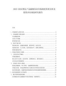 2025-2030圖瓦盧金融服務(wù)業(yè)市場現(xiàn)狀供需分析及投資評估規(guī)劃研究報告
