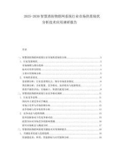 2025-2030智慧消防物聯(lián)網(wǎng)系統(tǒng)行業(yè)市場供需現(xiàn)狀分析技術(shù)應(yīng)用調(diào)研報告