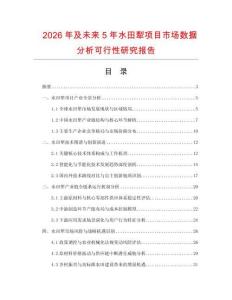 2026年及未來(lái)5年水田犁項(xiàng)目市場(chǎng)數(shù)據(jù)分析可行性研究報(bào)告