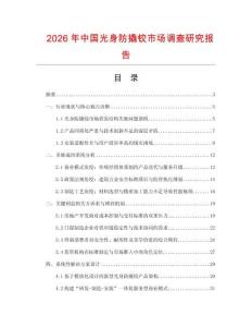2026年中國光身防撬鉸市場調查研究報告