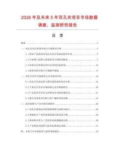 2026年及未來5年雙孔夾項目市場數據調查、監測研究報告