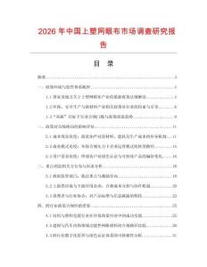 2026年中国上塑网眼布市场调查研究报告