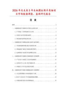 2026年及未來5年木柄圓柱頸羊角錘項目市場數據調查、監測研究報告