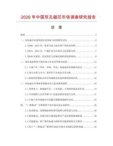 2026年中國雙孔磁芯市場調查研究報告
