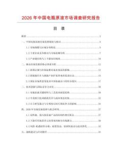 2026年中國電瓶原液市場調(diào)查研究報告