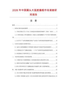 2026年中国扁头大弧度撬棍市场调查研究报告