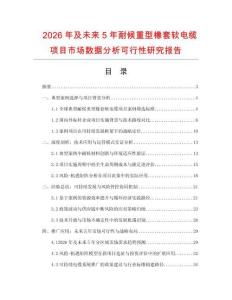 2026年及未來5年耐候重型橡套軟電纜項目市場數(shù)據(jù)分析可行性研究報告