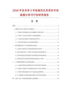 2026年及未來5年紙板雙孔夾項目市場數據分析可行性研究報告