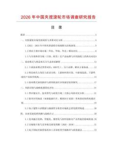 2026年中國夾捏滾輪市場調查研究報告