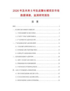 2026年及未來5年肚皮舞長裙項目市場數據調查、監測研究報告