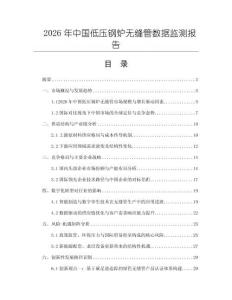 2026年中國低壓鋼爐無縫管數(shù)據(jù)監(jiān)測報告