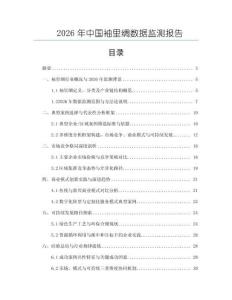 2026年中國袖里綢數據監測報告