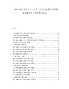 2025-2030计算机软件开发行业市场机遇深度发现及技术革新与投资布局建议