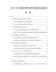 2026年中國耐熱鋼電焊條數據監測報告