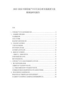 2025-2030中國房地產(chǎn)中介行業(yè)分析市場現(xiàn)狀與發(fā)展規(guī)劃研究報告