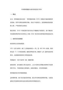 中國帶狀皰疹專家共識總結2026