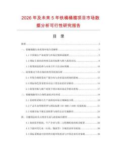 2026年及未來5年鐵桶桶箍項目市場數據分析可行性研究報告