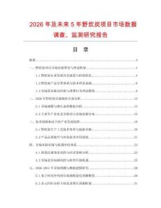 2026年及未來5年野炊炭項目市場數據調查、監測研究報告