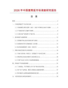 2026年中國套筒扳市場調(diào)查研究報告