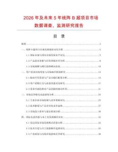 2026年及未來5年線陣B超項目市場數據調查、監測研究報告