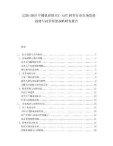2025-2030中国低密度SLC NAND闪存行业市场发展趋势与前景展望战略研究报告