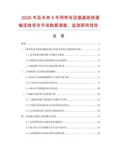 2026年及未來(lái)5年網(wǎng)帶傳送值直線烘道輸送線項(xiàng)目市場(chǎng)數(shù)據(jù)調(diào)查、監(jiān)測(cè)研究報(bào)告