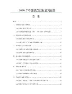 2026年中國膠皮數據監測報告