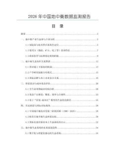 2026年中國地中衡數(shù)據(jù)監(jiān)測報告