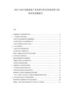 2025-2030電鍍?yōu)V紙產(chǎn)業(yè)發(fā)展分析及發(fā)展趨勢(shì)與投資前景預(yù)測(cè)報(bào)告