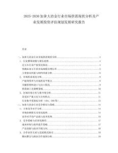 2025-2030加拿大冶金行業市場供需現狀分析及產業發展投資評估規劃發展研究報告