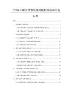 2026年中國帶表電源插座數據監測報告