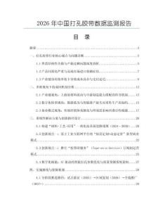 2026年中國打孔膠帶數(shù)據(jù)監(jiān)測報(bào)告
