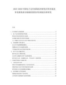 2025-2030中國(guó)電子支付系統(tǒng)技術(shù)研發(fā)應(yīng)用市場(chǎng)競(jìng)爭(zhēng)發(fā)展需求市場(chǎng)現(xiàn)狀投資評(píng)估規(guī)劃分析研究