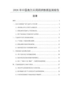 2026年中国高尔夫洞洞球数据监测报告