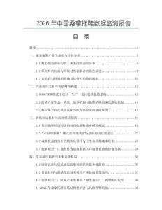 2026年中國桑拿拖鞋數據監測報告