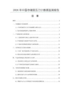 2026年中國(guó)存儲(chǔ)層壓力計(jì)數(shù)據(jù)監(jiān)測(cè)報(bào)告