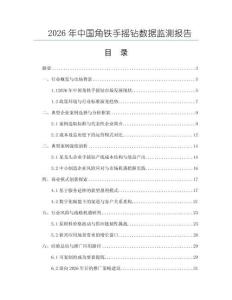 2026年中国角铁手摇钻数据监测报告